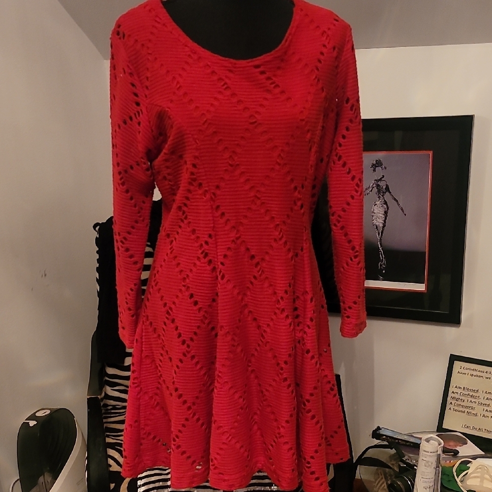 Vibrant Red Fit and Flare Dress with Long Dolman Sleeves